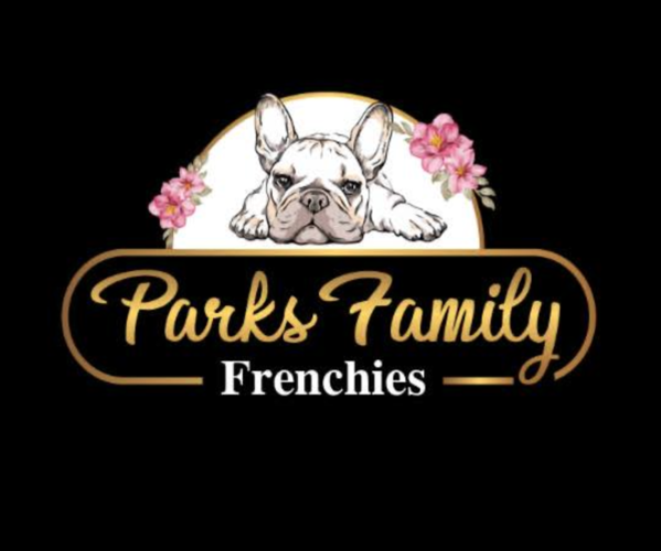 Medium Photo #1  Breeder Profile in WINTER HAVEN, FL, USA