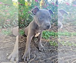 Small #19 Breeder Profile image
