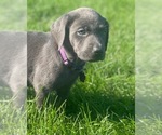 Small #18 Breeder Profile image