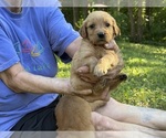 Small #7 Breeder Profile image