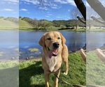 Small #6 Breeder Profile image