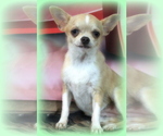 Small #7 Breeder Profile image
