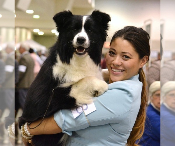 Medium Photo #18  Breeder Profile in BRYANTOWN, MD, USA