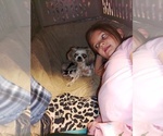 Small Photo #3  Breeder Profile in FANNING SPGS, FL, USA