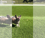 Small #6 Breeder Profile image