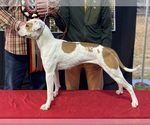 Small #12 Breeder Profile image