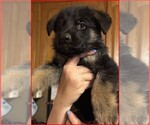 Small #8 Breeder Profile image