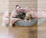 Small #6 Breeder Profile image