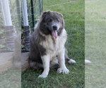 Small #26 Breeder Profile image