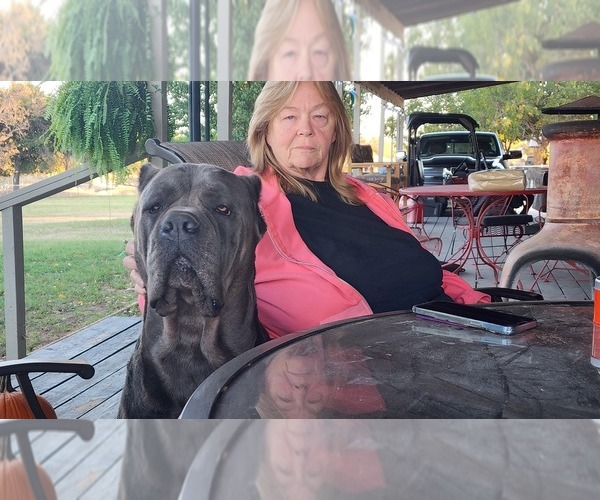 Medium Photo #9  Breeder Profile in WEATHERFORD, TX, USA
