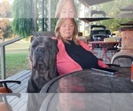 Small #8 Breeder Profile image