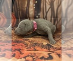 Small #6 Breeder Profile image
