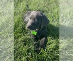 Small #19 Breeder Profile image