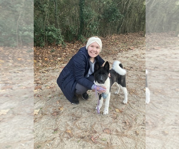 Medium Photo #61  Breeder Profile in MCDONOUGH, GA, USA