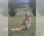 Small #5 Breeder Profile image