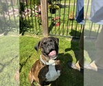 Small #2 Breeder Profile image
