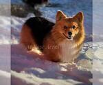 Small #10 Breeder Profile image