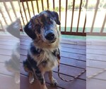Small #69 Breeder Profile image
