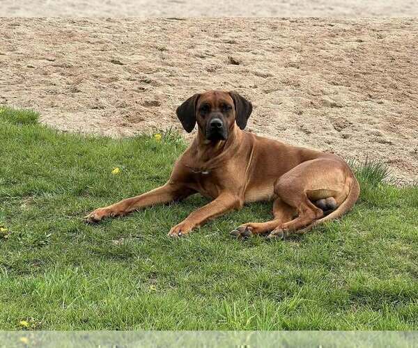 Medium Photo #30  Breeder Profile in ONEIDA, TN, USA