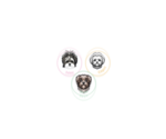 Small #1 Breeder Profile image