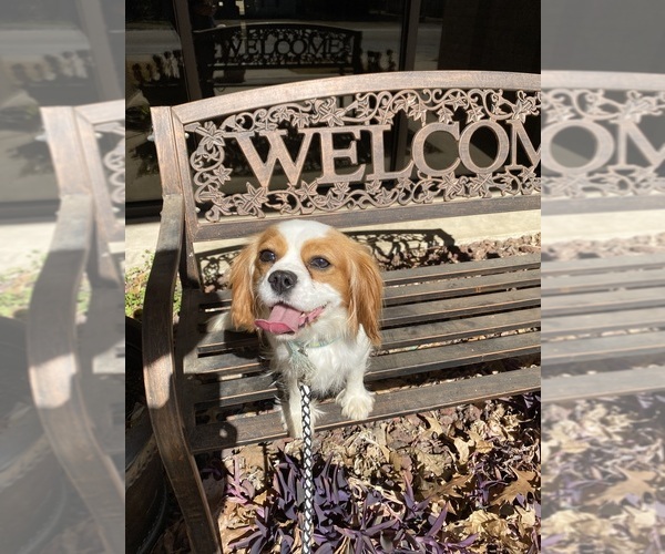 Medium Photo #3  Breeder Profile in MURFREESBORO, AR, USA