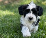 Small #1 Breeder Profile image
