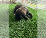Small #3 Breeder Profile image