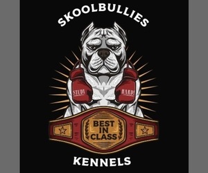 French Bulldog Dog Breeder near MARIETTA, GA, USA