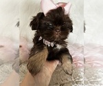 Small #9 Breeder Profile image