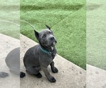 Small #5 Breeder Profile image
