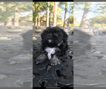 Small #11 Breeder Profile image