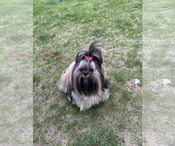 Medium Photo #1  Breeder Profile in Petawawa, Ontario, Canada