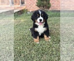 Small #9 Breeder Profile image