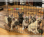 Small #4 Breeder Profile image