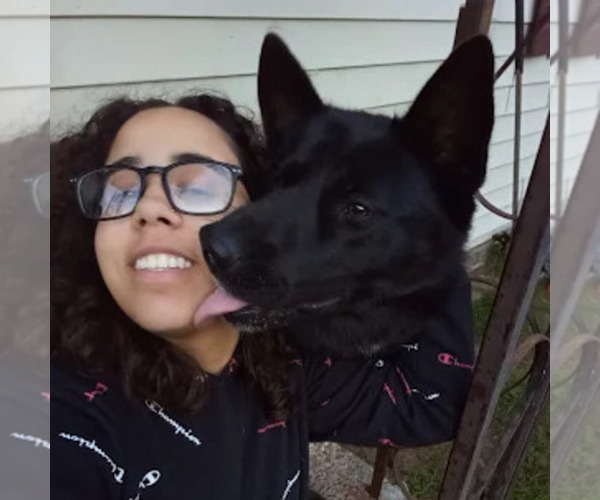 Medium Photo #1  Breeder Profile in RHINELANDER, WI, USA