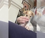 Small #10 Breeder Profile image