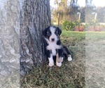 Small #9 Breeder Profile image