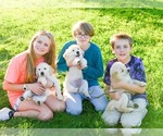 Small #13 Breeder Profile image