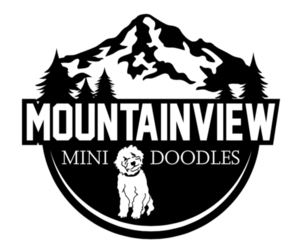 Cavapoo Dog Breeder in SCAPPOOSE,  USA