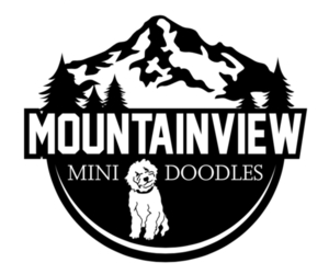 Cavapoo Dog Breeder near SCAPPOOSE, OR, USA