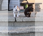 Small #16 Breeder Profile image