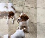 Small #13 Breeder Profile image