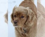 Small #15 Breeder Profile image