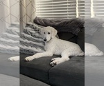 Small #15 Breeder Profile image