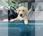 Small #7 Breeder Profile image