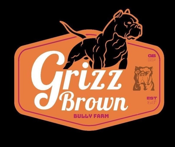 Medium Photo #1  Breeder Profile in KING OF PRUSSIA, PA, USA