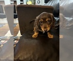 Small #2 Breeder Profile image