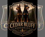 Small Photo #1  Breeder Profile in LAFAYETTE, TN, USA