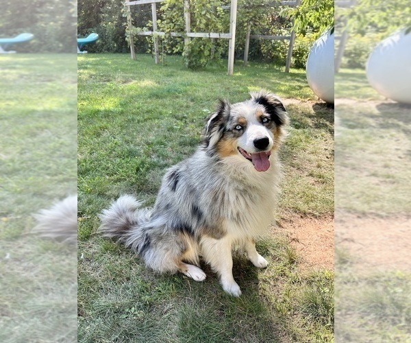 Medium Photo #1  Breeder Profile in GRAND VIEW, WI, USA