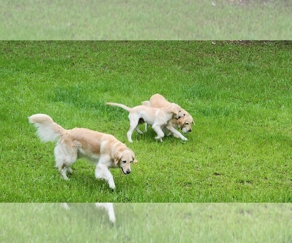 Medium Photo #3  Breeder Profile in HIGH SPRINGS, FL, USA